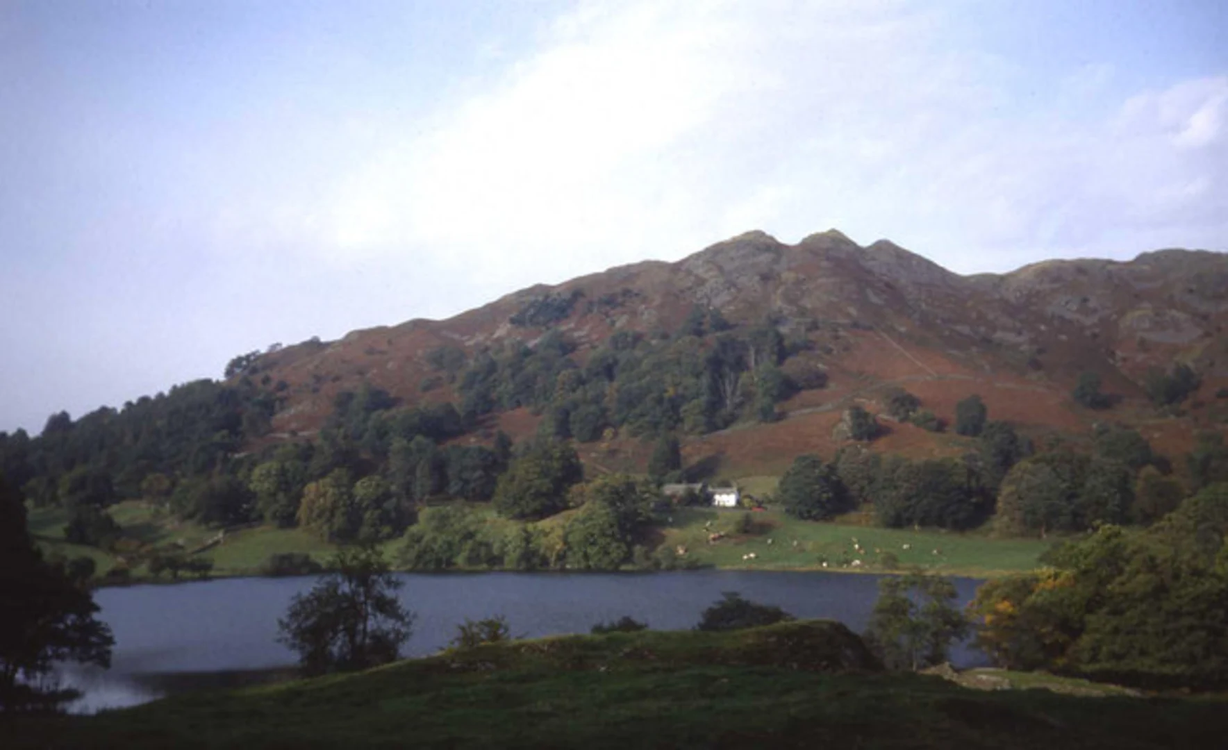 An image depicting the trail Ambleside to Loughrigg Tarn Loop and its surrounding area.