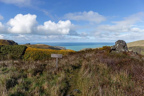Kereru Track