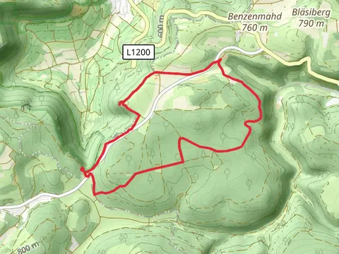 Albtraufganger and Birkholzweg