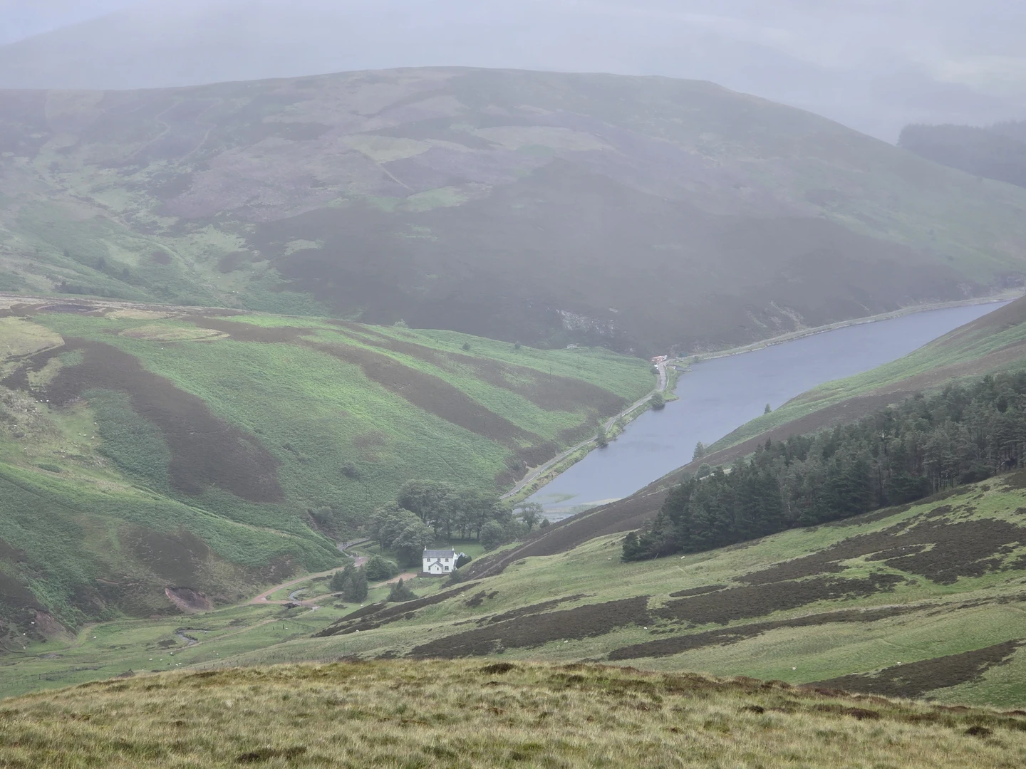 An image depicting the trail Scald law loop and its surrounding area.