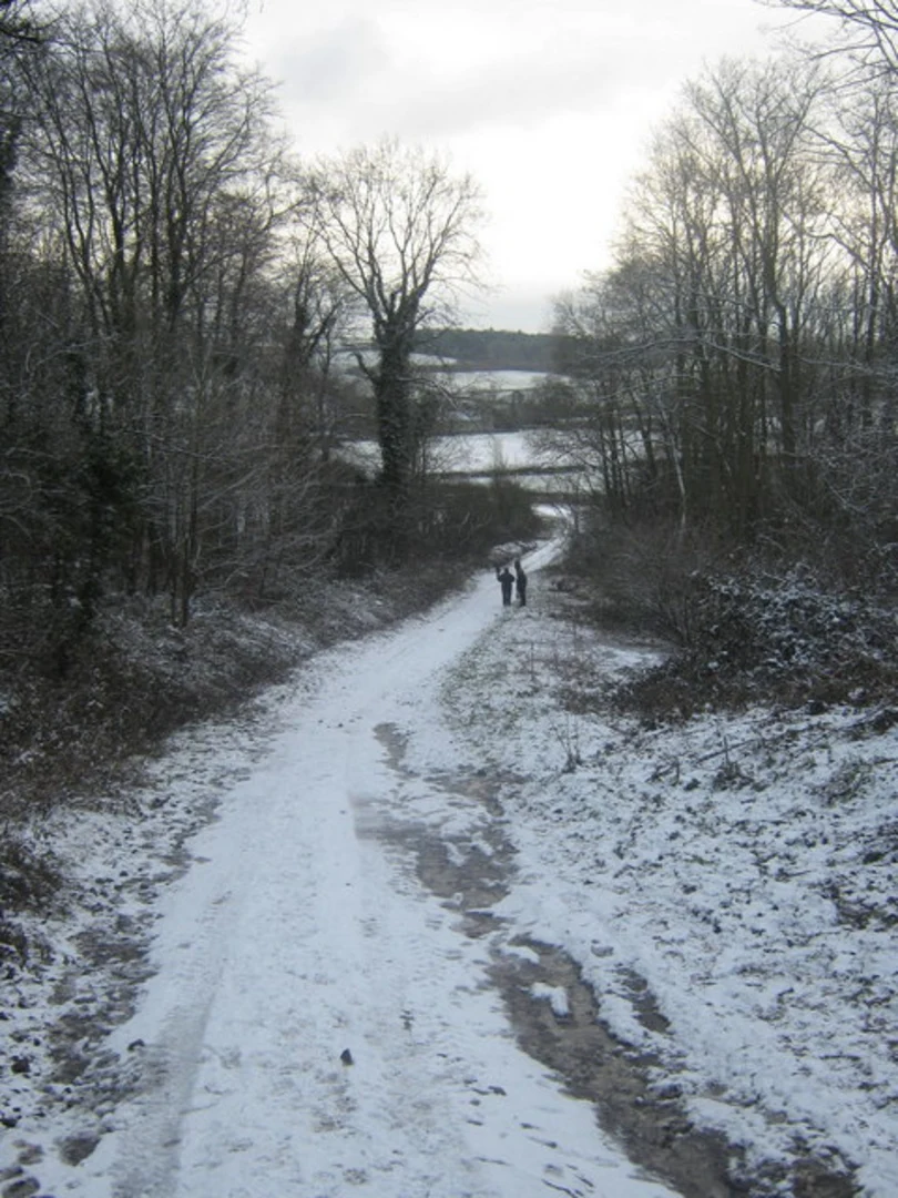 An image depicting the trail Pocklington, Burnby and Nunburnholme Loop and its surrounding area.