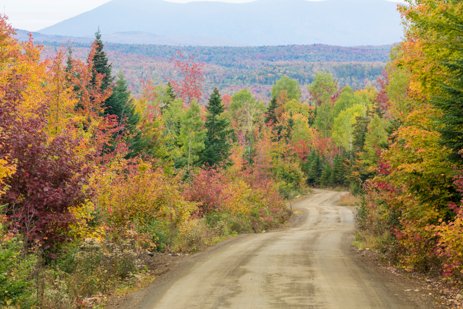 An image depicting the trail East Kennebago Mountain from Langtown Mill and its surrounding area.