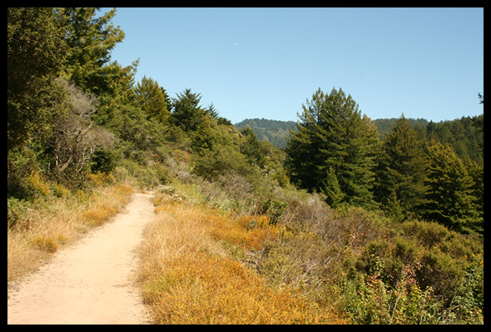 An image depicting the trail Borden Hatch Mill - Grabtown Gulch - Bald Knob Loop Trail and its surrounding area.