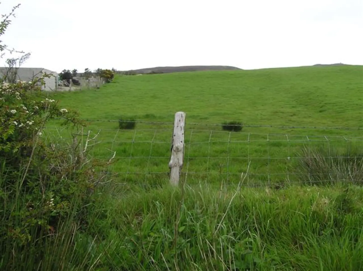 An image depicting the trail Bree Trail - Ballybrittas Walk and its surrounding area.