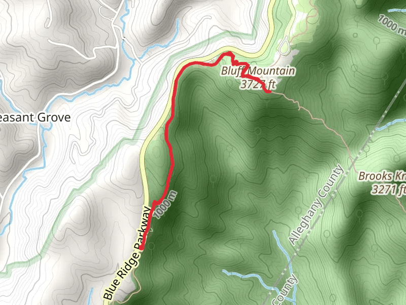 Bluff Mountain Trail