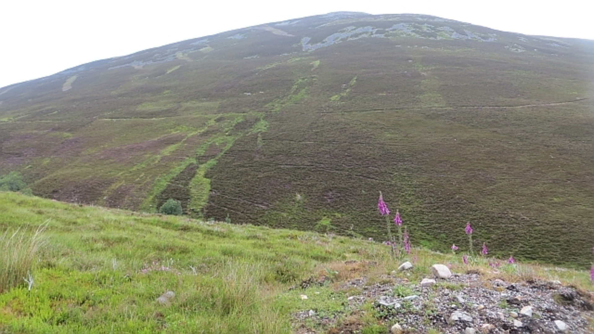 An image depicting the trail Meallach Mhòr and its surrounding area.