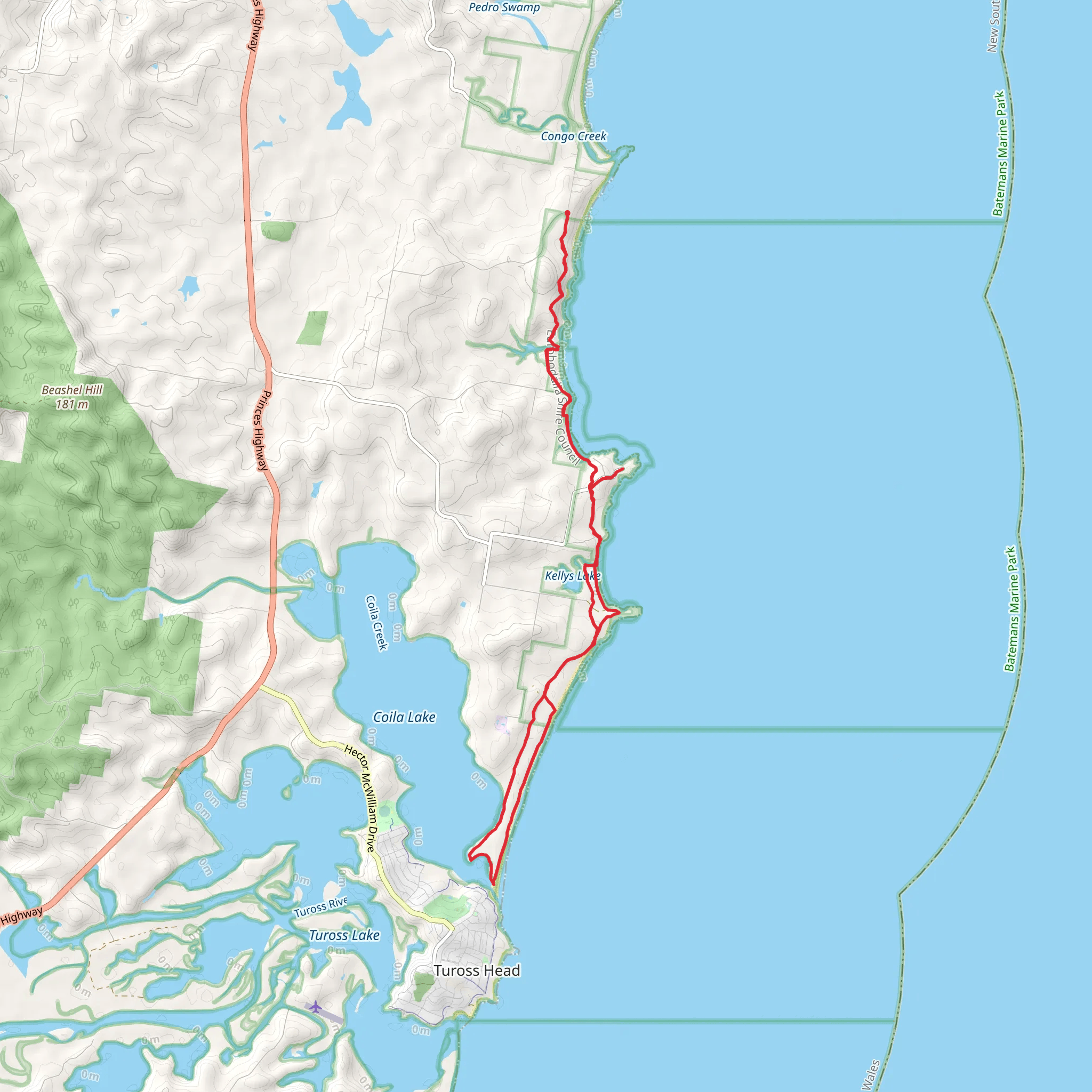Bingi Dreaming Track mobile static map