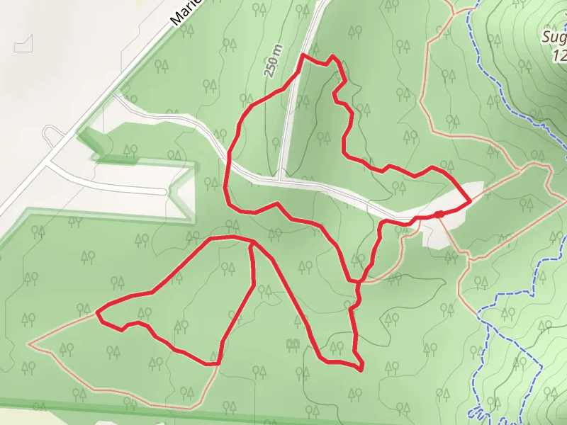 Spring Run Loop - Long