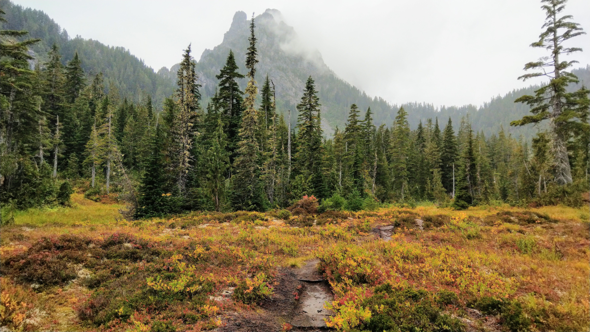 An image depicting the trail North Fork Prince Creek Trail via Eagle Lakes Trail and its surrounding area.