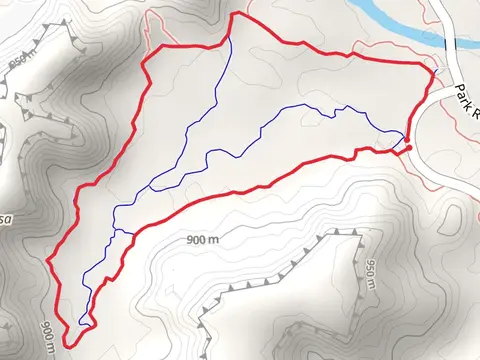 Capitol Peak Trail and Lighthouse Trail Loop
