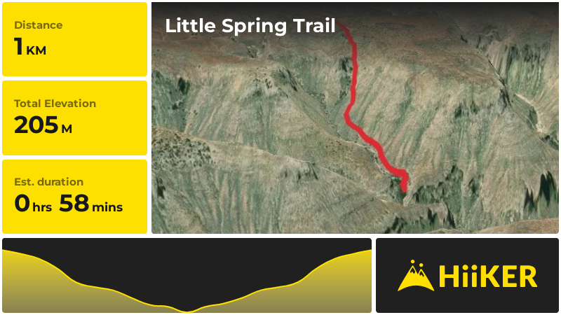 Little Spring Trail | Arizona | Arizona
