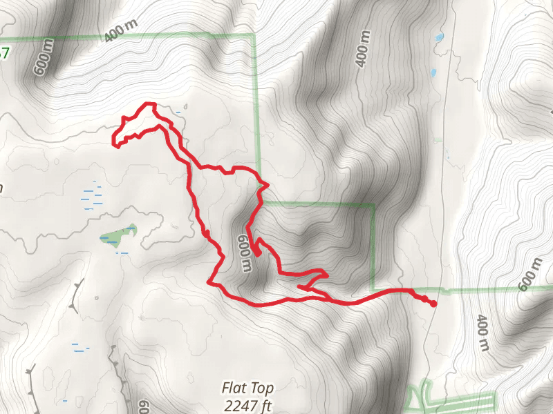 White Brook and Big Deer Swamp Loop