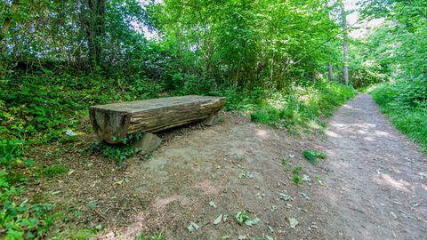 Kelmonderbos and Kasteel Genbroek Loop