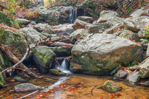 Swinging Bridge and Cascade Falls Loop
