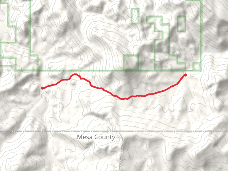 Fourmile - East Divide Trail