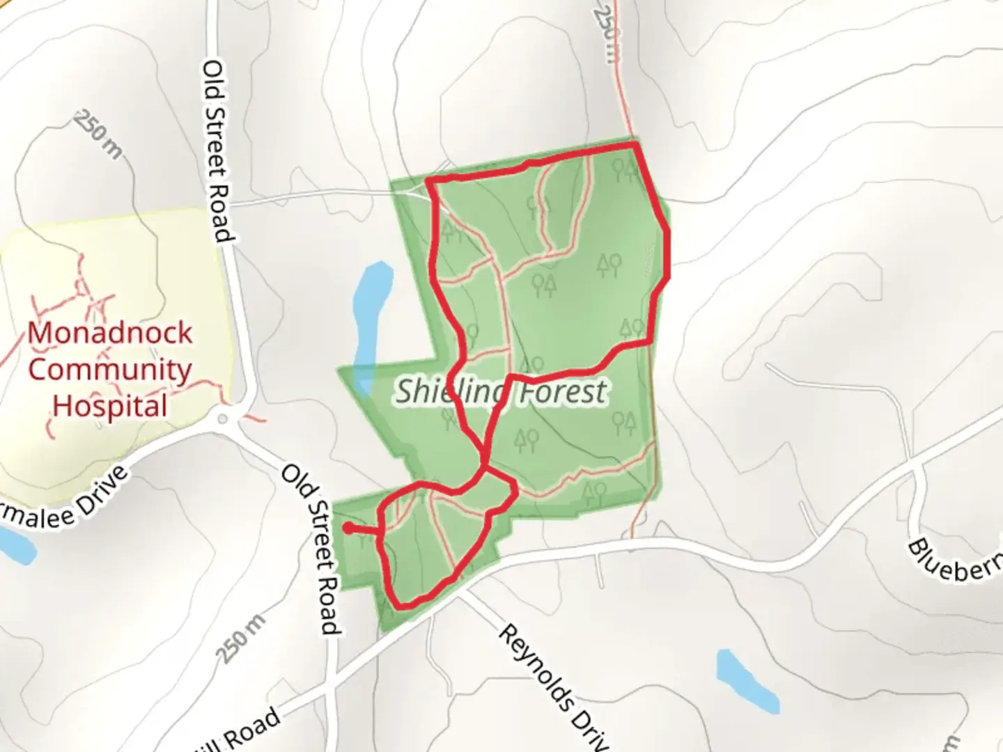An image depicting the trail Shieling Forest Loop Trail and its surrounding area.