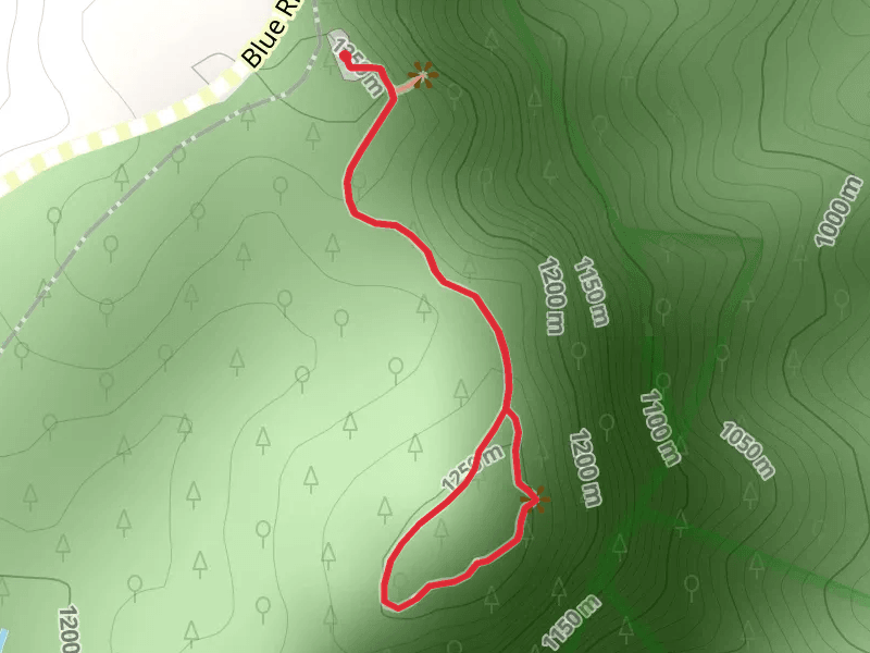 Chestoa View Overlook Loop