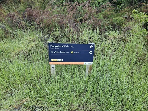 Manawhara Track and White Track