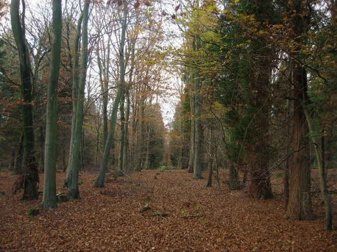 Litlington, Exceat and Alfriston Loop