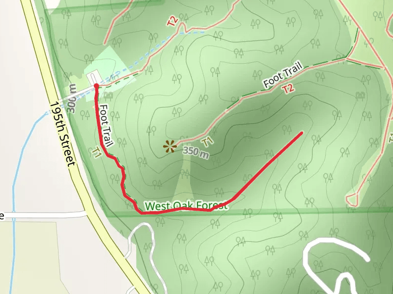 Foot Trail