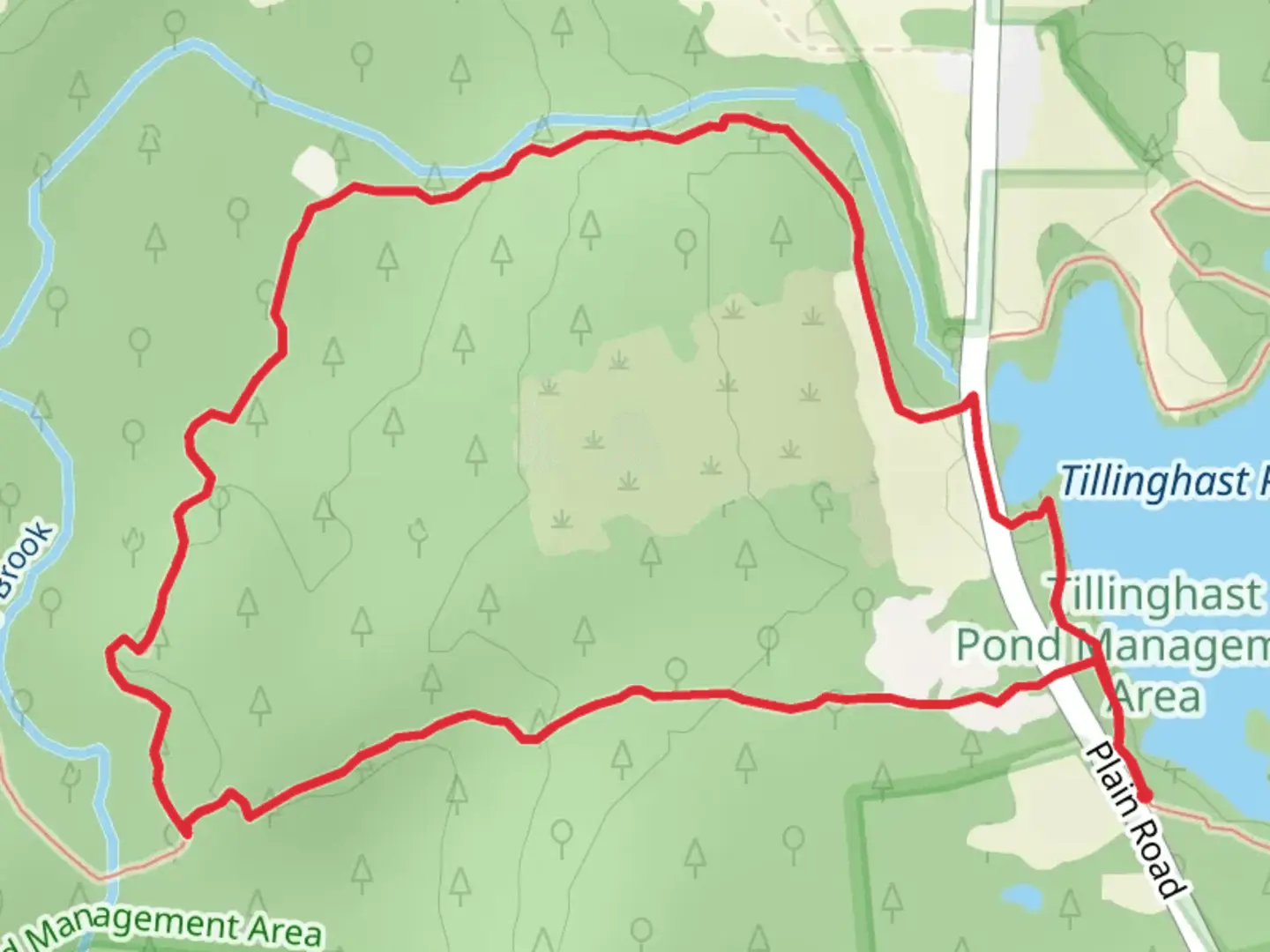 An image depicting the trail Coney Brook Loop Trail and its surrounding area.