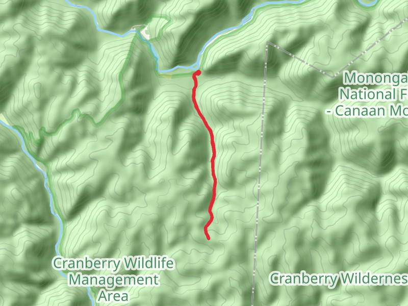 Little Fork Trail mobile static map