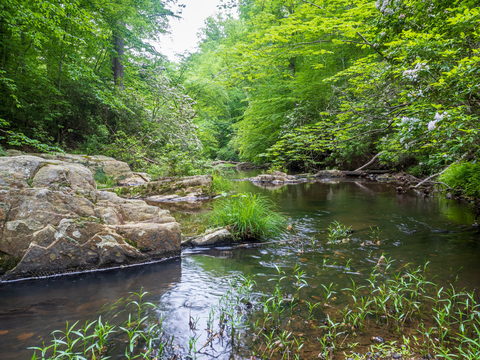 N Valley Trail and S Valley Trail Loop