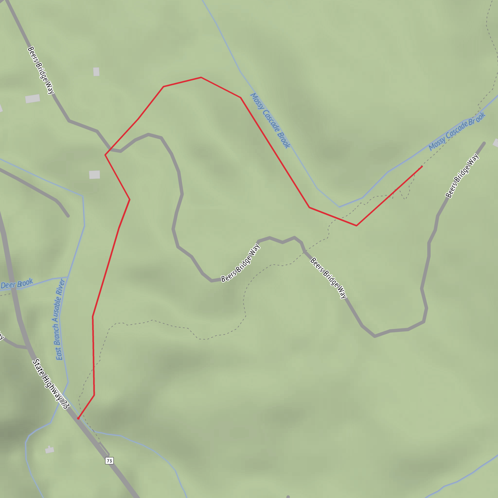 Mossy Cascade Walk mobile static map