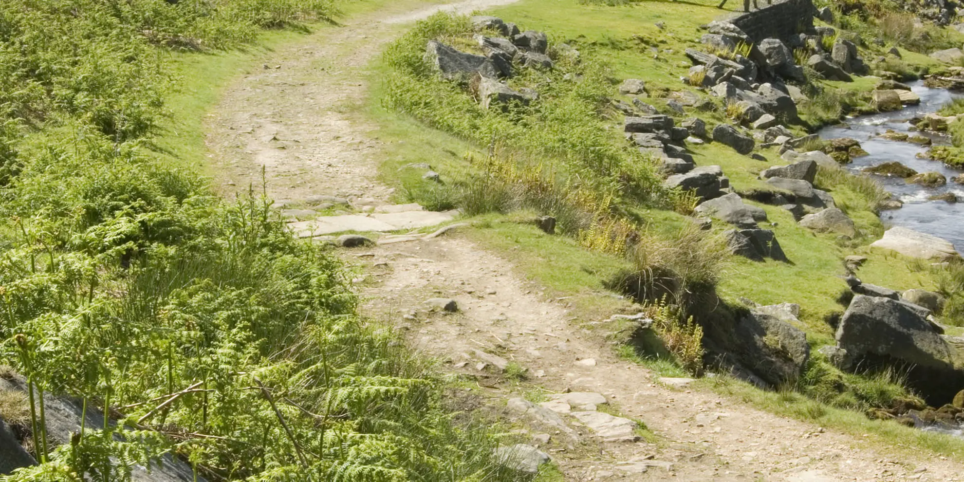 An image depicting the trail Hebden Gill and Cupola Corner and its surrounding area.