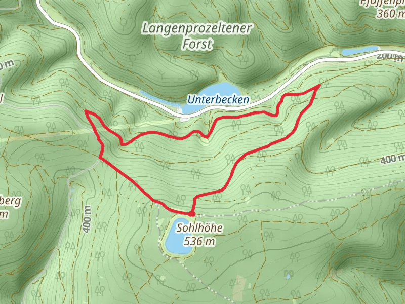Schwarzer Fuchs