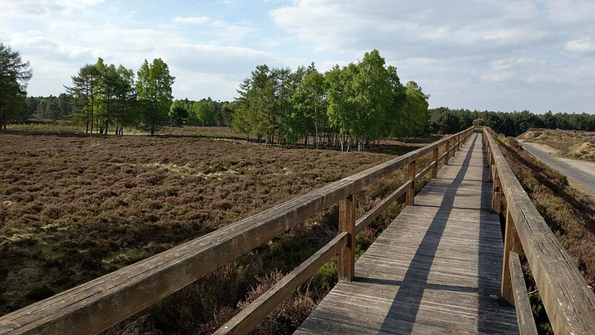 An image depicting the trail NSG Brachter Wald Wanderweg Gruen Loop and its surrounding area.