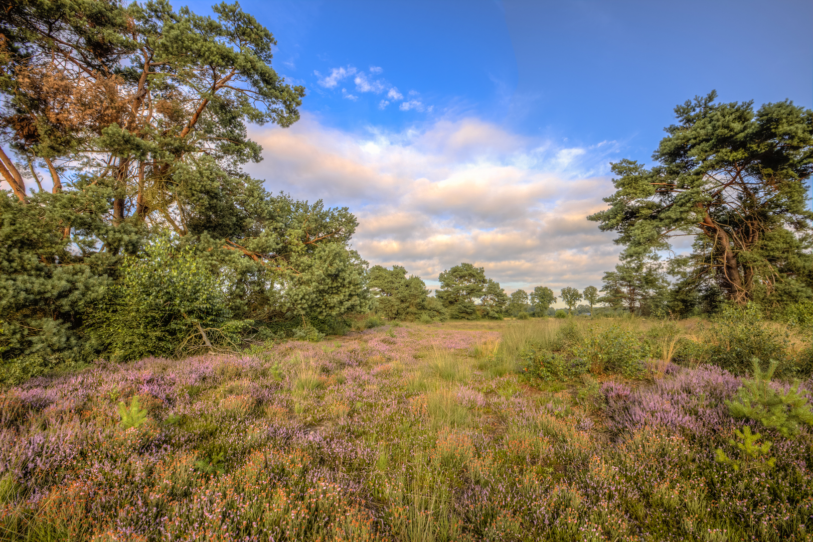 An image depicting the trail Oortven via Stroothuizer Weg and its surrounding area.
