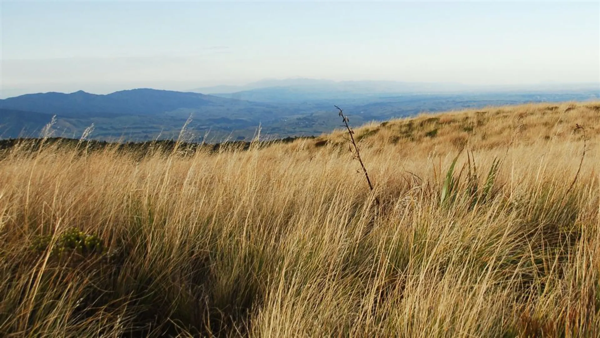 An image depicting the trail Renfrew Roadend to Rangiwahia Hut to Triangle Hut and its surrounding area.