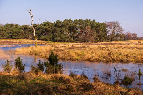 Lange Bleek, Landgoed De Pan and Strabrechtsche Heide Loop