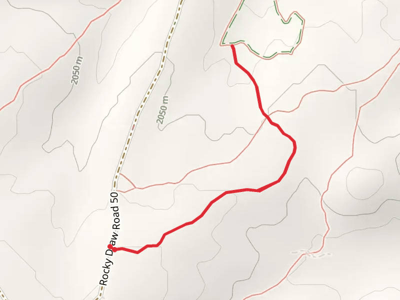 The Maze Trail