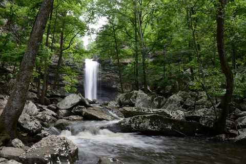 Cedar Falls Trail