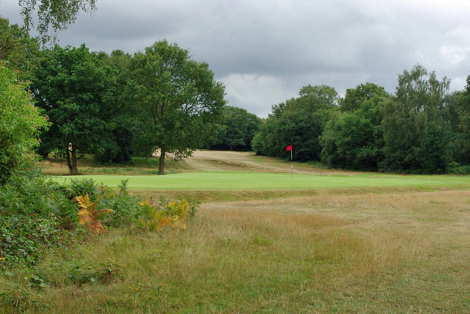 An image depicting the trail Walton on the Hill South Loop and its surrounding area.