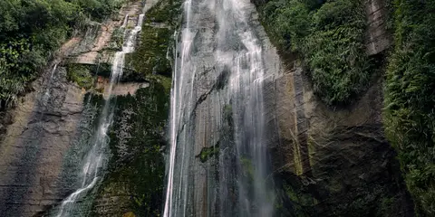Kamahi Loop Track to Shine Falls and Heays Access Road