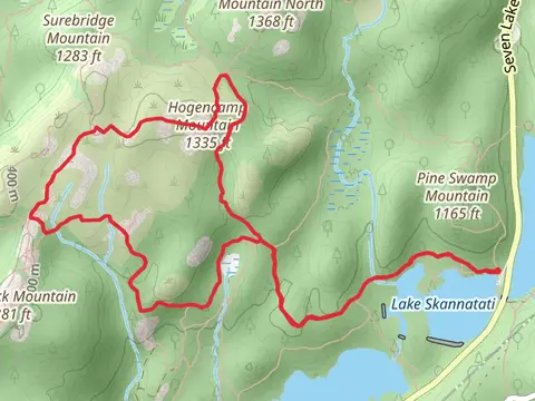 Hogencamp Mountain via Dunning Trail