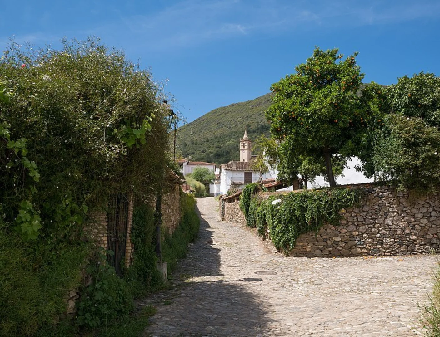 An image depicting the trail Aracena - Linares de la Sierra and its surrounding area.
