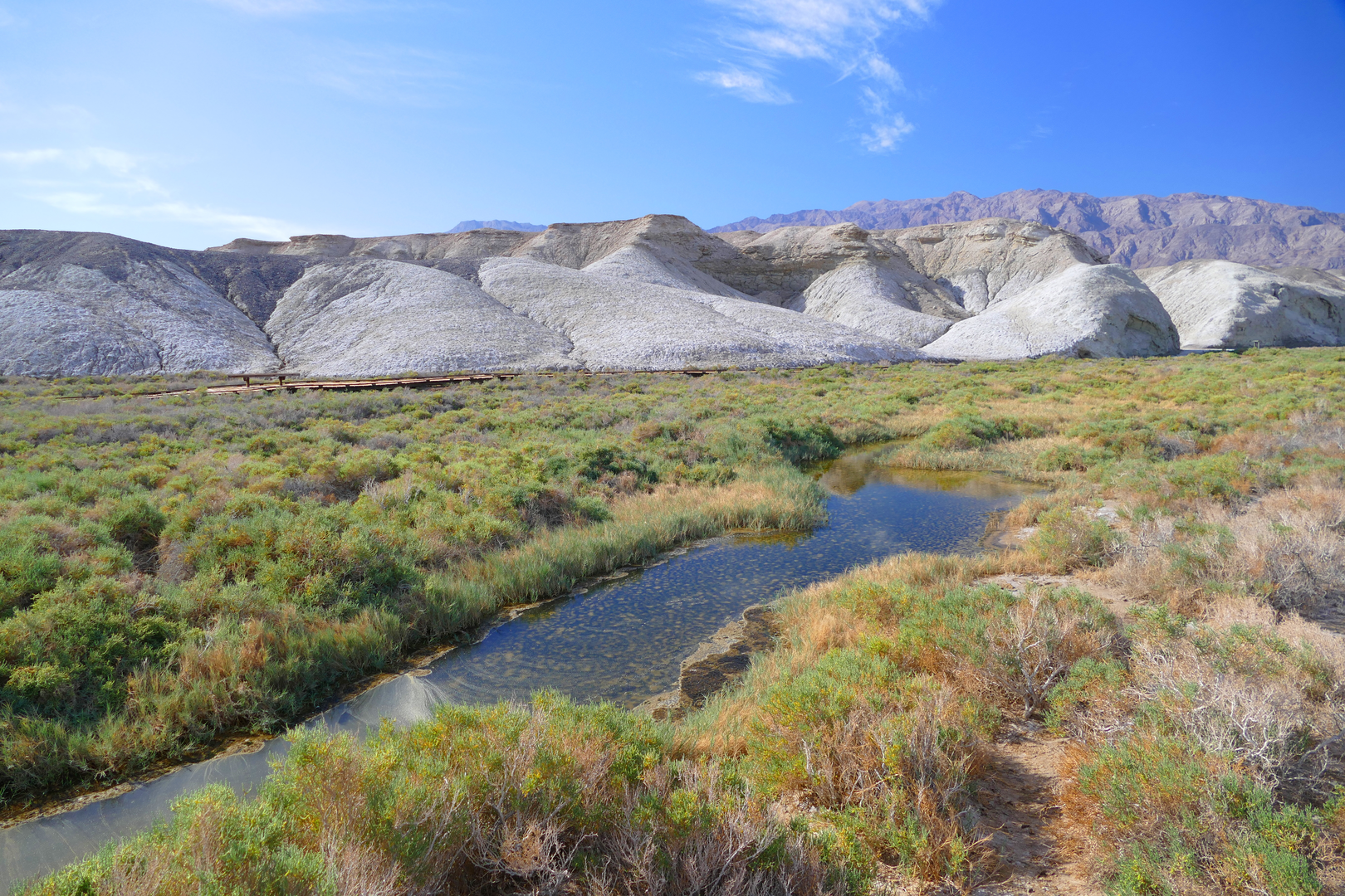 An image depicting the trail Salt Creek Loop and its surrounding area.