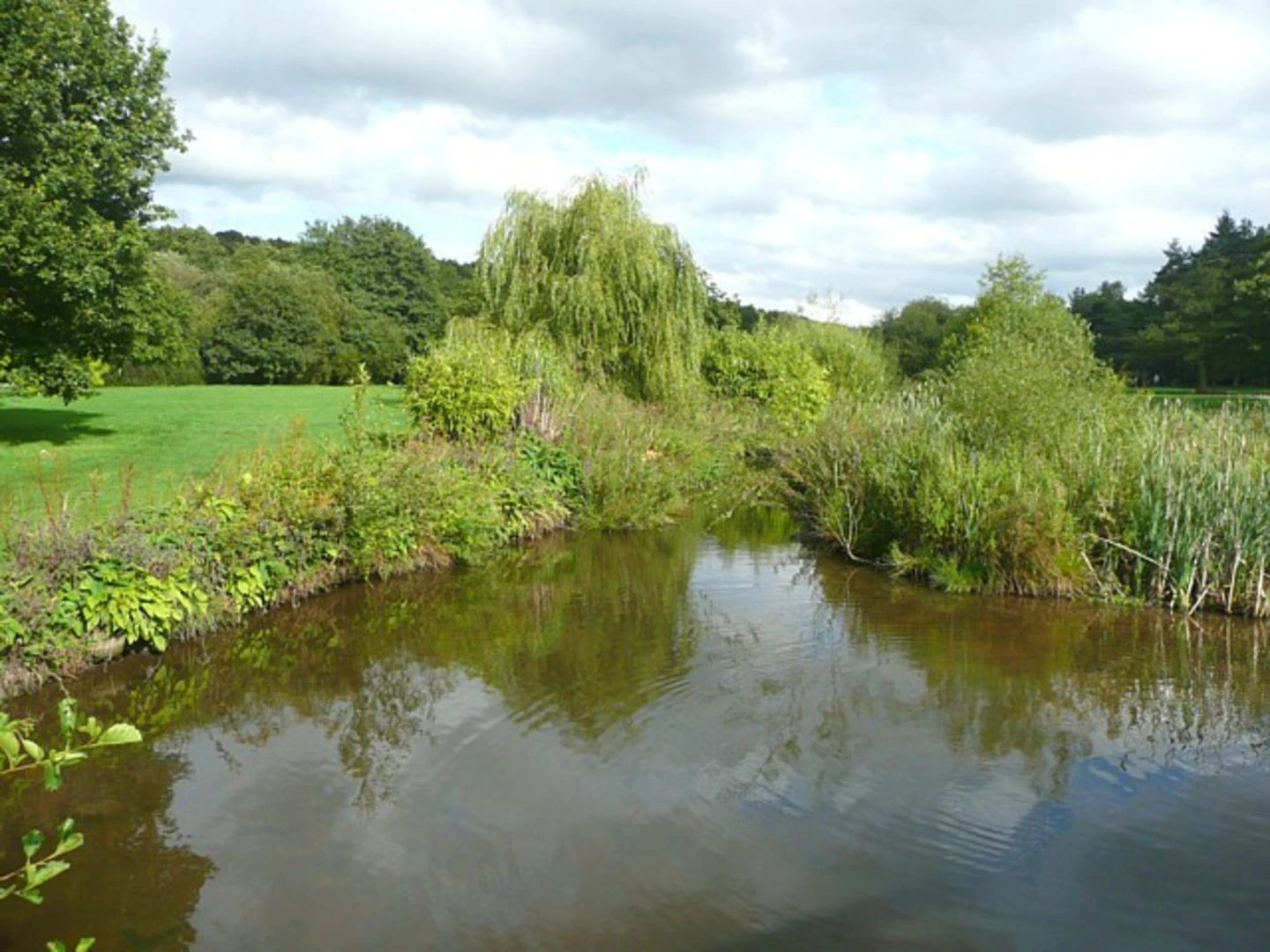 An image depicting the trail Golden Acre Park Walk and its surrounding area.
