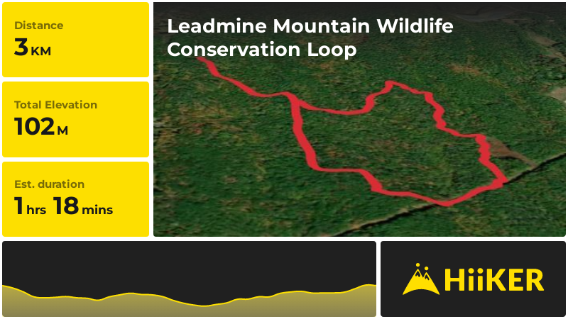 Leadmine Mountain Wildlife Conservation Loop | Worcester County | Mass