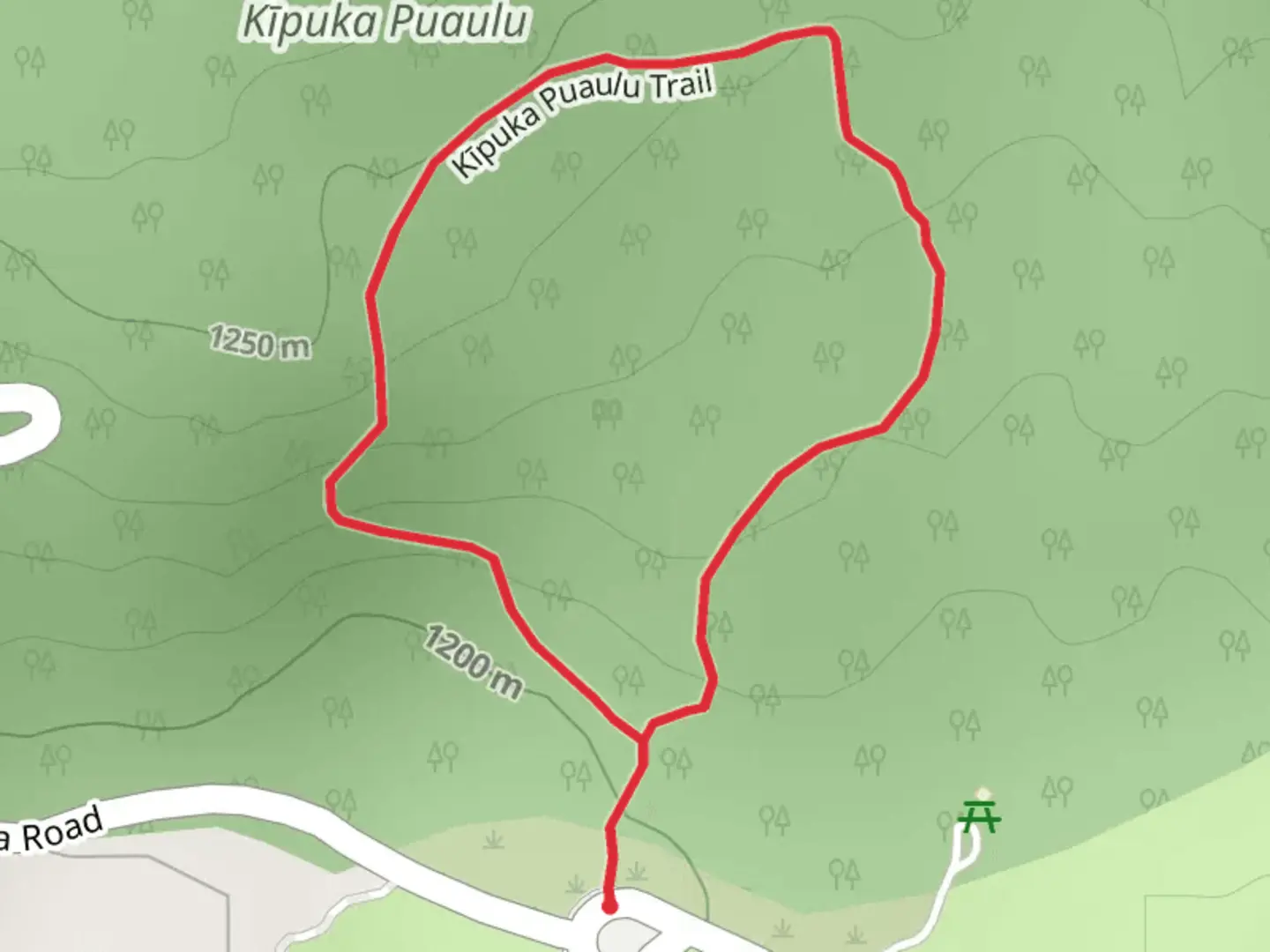 An image depicting the trail Kīpuka Puaulu Loop and its surrounding area.