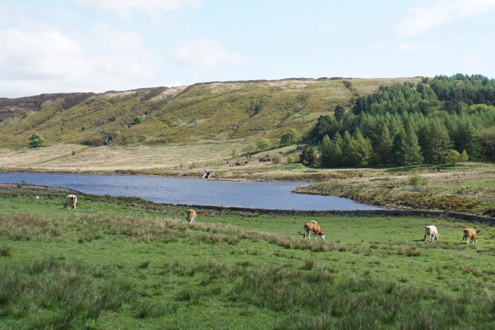 An image depicting the trail Calf Hey - Ogden and Holden Wood Reservoirs and its surrounding area.