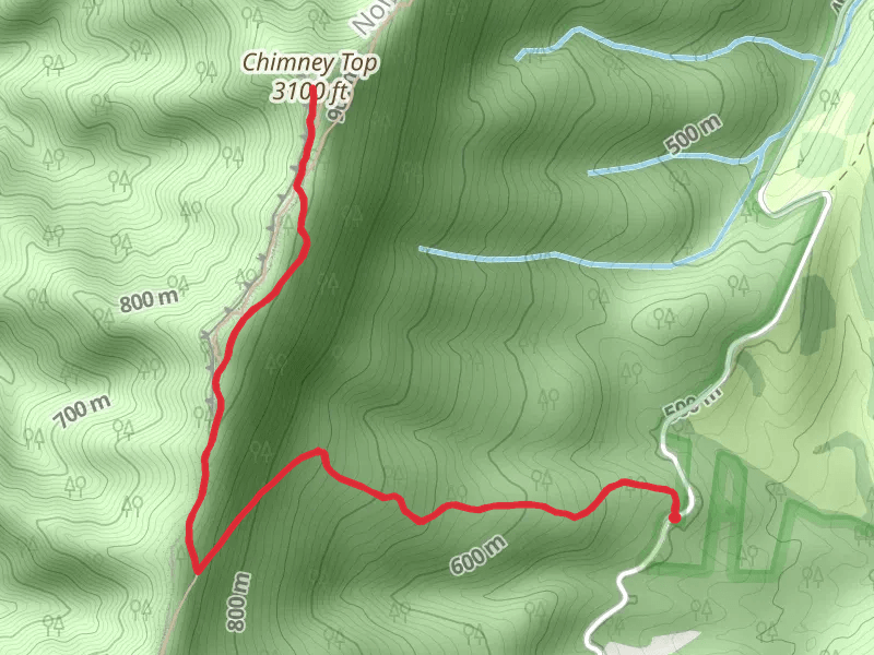 Chimney Top via Landis Trail