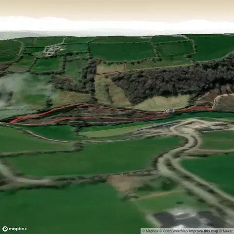 The Island Wood - Forestry Green Loop