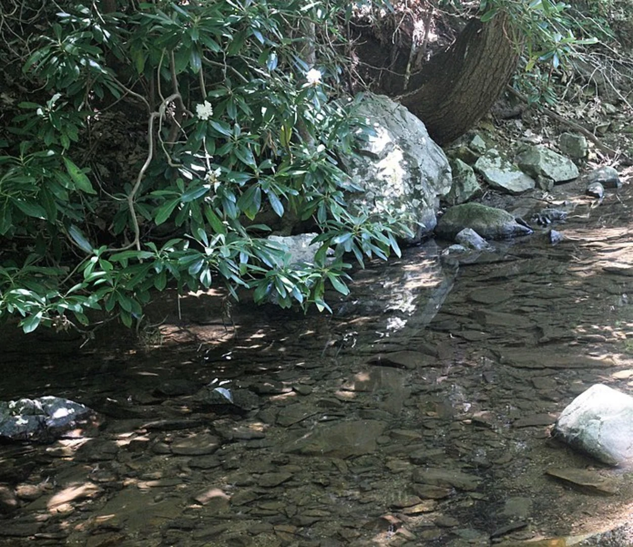 An image depicting the trail Little Dry Trail and its surrounding area.