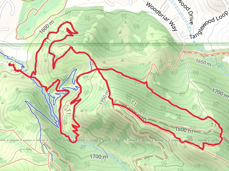 Wild Rose, Woodbriar and Chukkar Loop