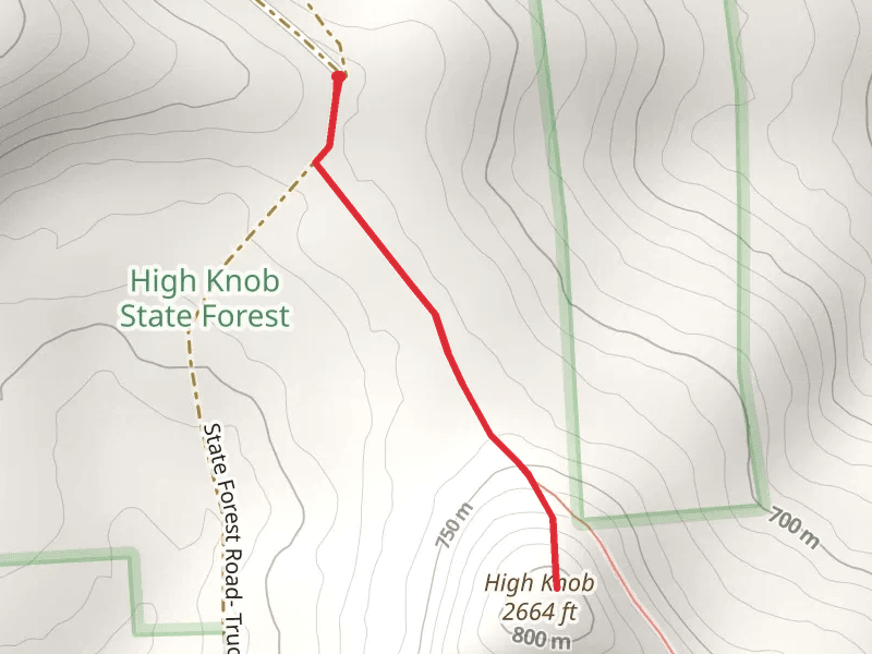 High Knob from State Forest Road
